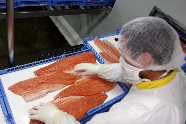 Sernapesca establece acuerdo con Argentina para simplificar transporte de salmón chileno