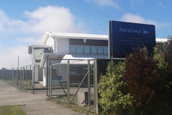 AquaChile ofrece sus laboratorios para realizar test de coronavirus