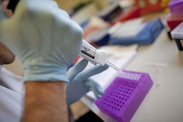 Fundación Copec-UC lanza convocatorias para investigación con foco en recursos naturales