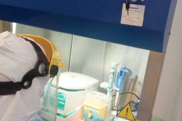 Acreditan a laboratorio salmonero de Aysén para analizar muestras de Covid-19