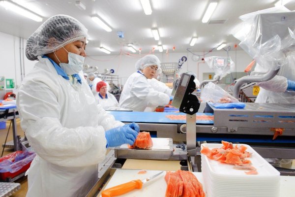 Sernapesca activa certificaciones online con China para facilitar envíos