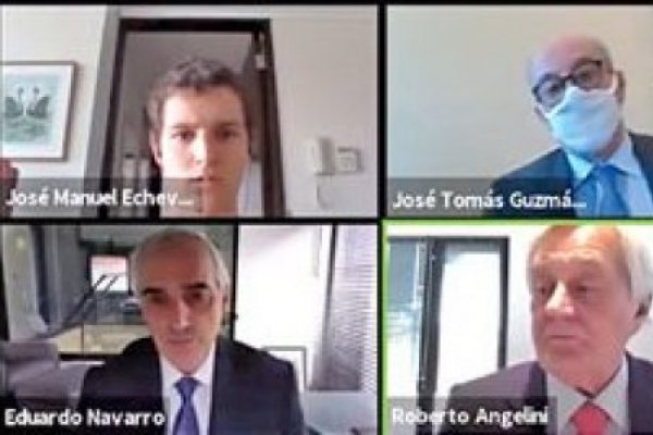<p>Copec y Concha y Toro, las juntas con mayor asistencia virtual</p>