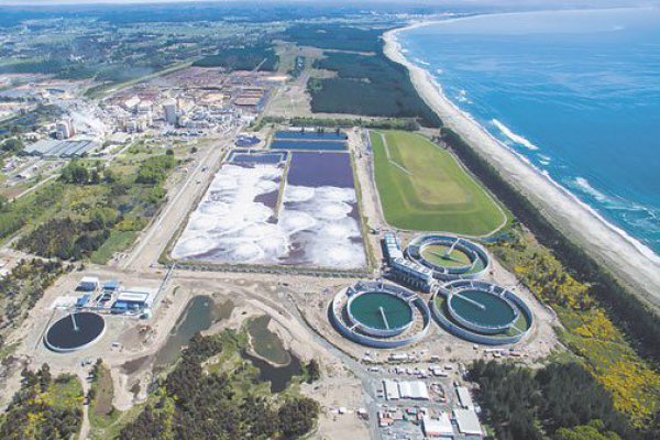 Arauco aprueba millonario aumento de capital para financiar proyectos y fortalecer posición financiera