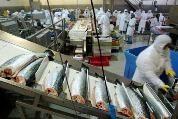 <p>Blumar hará aumento de capital por US$ 40 millones</p>