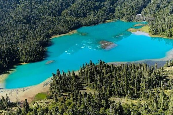 La decisión de Tompkins Conservation tras declararse desierta la segunda licitación por Pumalín y Patagonia