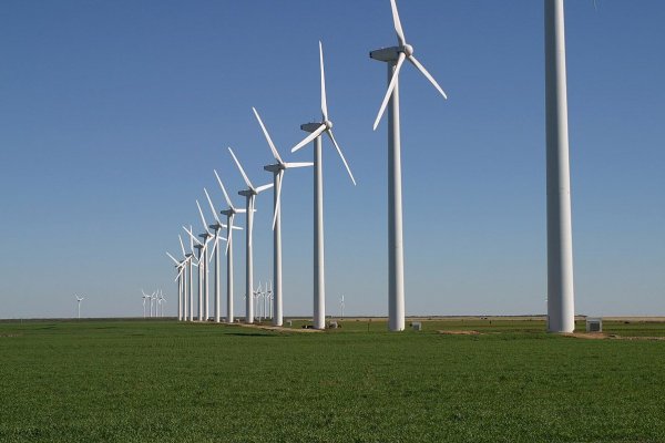Por primera vez en 134 años el consumo de energía renovable superó al de carbón en EEUU