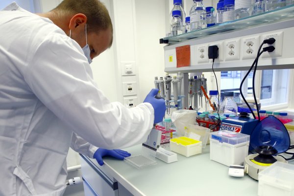 Consorcio científico crea plataforma para centrar y procesar la evolución del coronavirus en Chile
