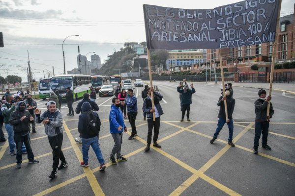 Tribunal Constitucional dio trámite a recurso contra ley de la jibia y pescadores artesanales se manifiestan