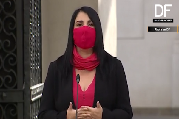 <p>Ahora en DF: Karla Rubilar reconoce error en instructivo de entrega de alimentos: "La responsable soy yo"</p>