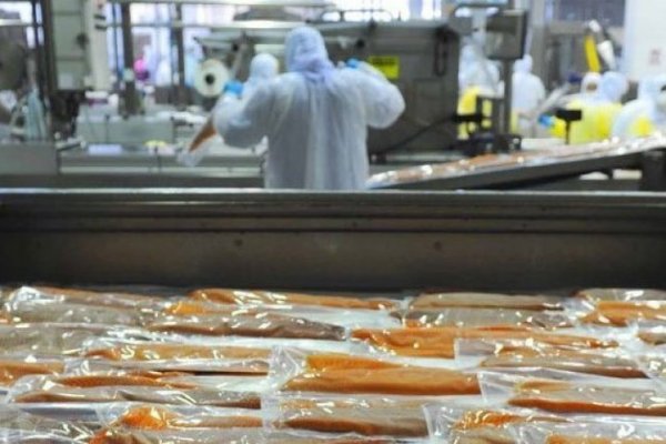 Industria acuícola responde: “No hay evidencia que conecte el brote de Covid-19 ocurrido en Beijing con el salmón”