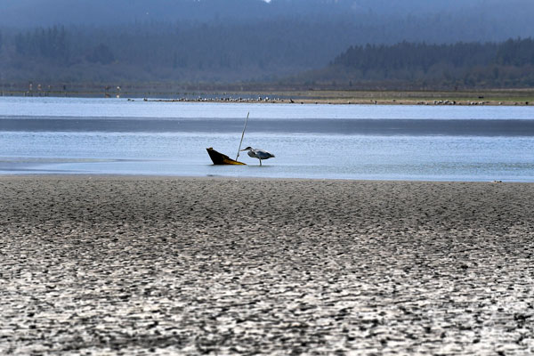 Avanza la discusión en torno a un Ministerio del Agua