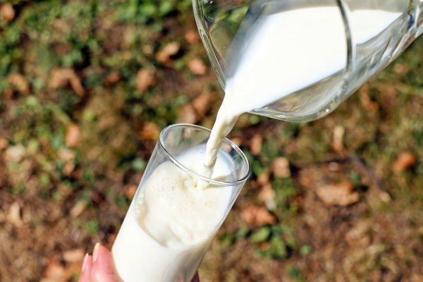 TDLC aprueba el Acuerdo Extrajudicial firmado por la FNE, Soprole y Prolesur en mercado de la leche
