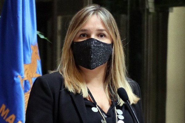 La UDI se suma a la presión al Gobierno por un IFE para la clase media
