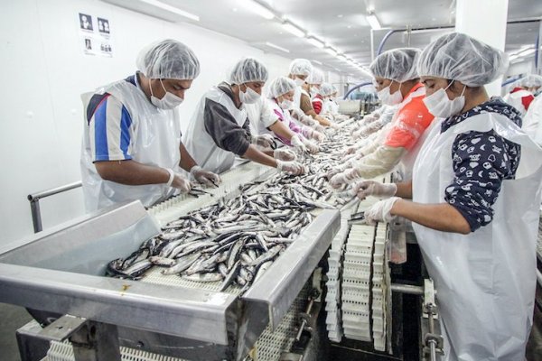 Industria se tiñe de rojo en mayo: producción manufacturera cayó más de 13%
