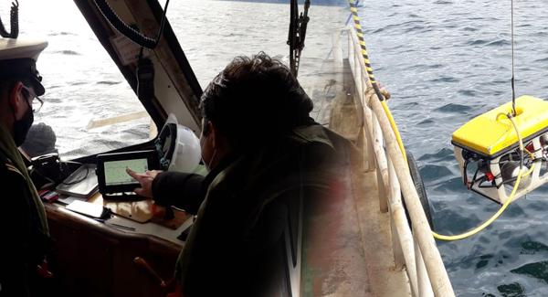 Blumar ha recuperado 19 mil salmones y autoridad pide plan especial