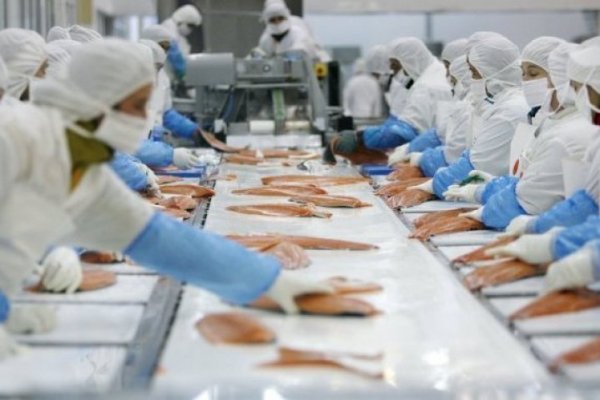 Corte de Punta Arenas sanciona a Nova Austral por entrega de información no fidedigna