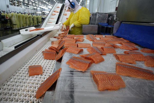 China está comprando "prácticamente cero" salmón chileno tras el susto del Covid-19