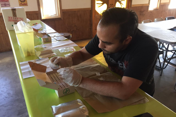 Empresa chilena crea examen portátil para detección de enfermedades en salmones de manera temprana