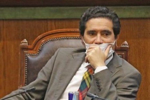 Ahorrar vía consumo: la propuesta de Briones para recaudar cotizaciones