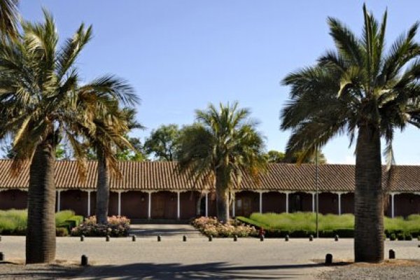 Ventas de Viña Santa Rita suben 7,3% a junio y alcanzan los $ 73.762 millones