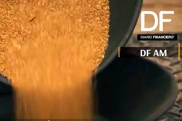 <p>DF AM: Te contamos las 5 noticias que debes saber a esta hora</p>
