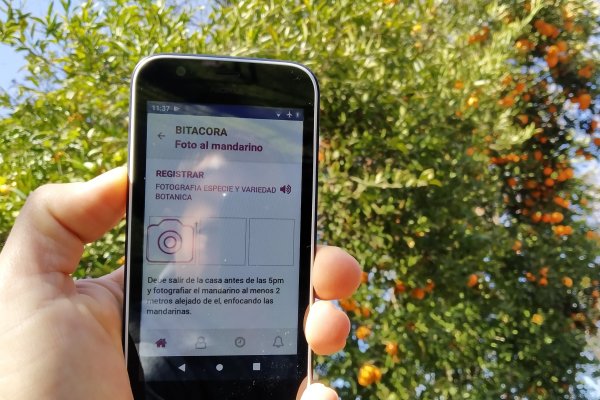 Fedefruta realizará piloto para registrar la trazabilidad de exportación de frutas con blockchain