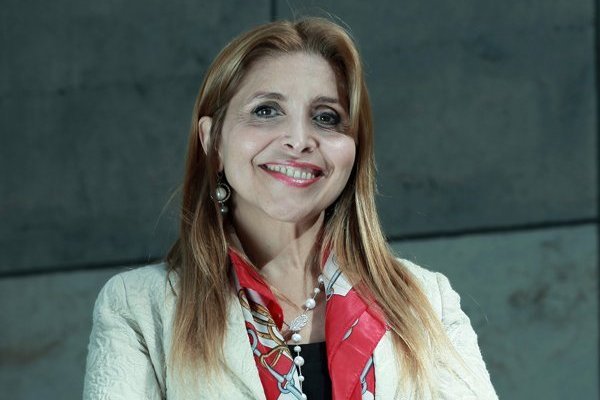 <p> “Es un proyecto de alto riesgo financiero”, enfatizó Pamela Gidi, titular de la Subtel.</p>