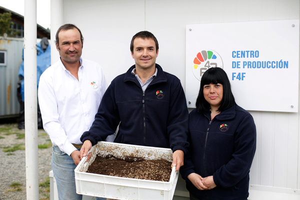Empresa chilena que produce alimento para animales a partir de moscas aterriza en EEUU