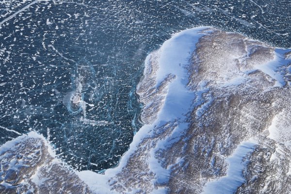 Científicos estiman que hielo ártico desaparecería para mediados de 2035