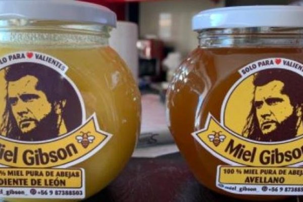 Inscriben otra "Miel Gibson" y se desata ahora en Chile la guerra por el nombre