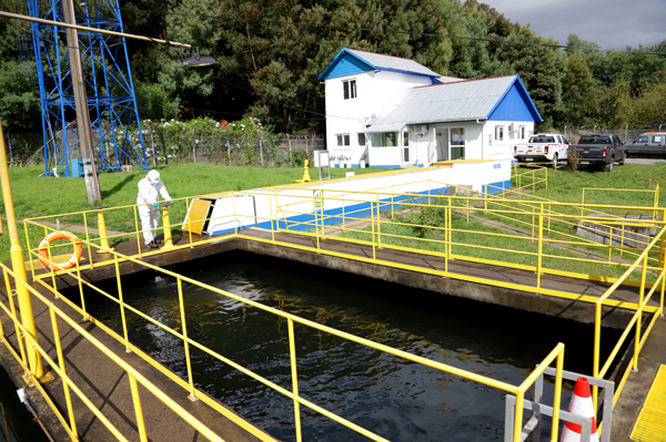 Essal presenta recurso de reposición a multa por corte de agua en Osorno