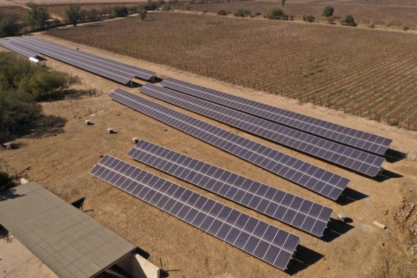Viña Pérez Cruz inaugura planta fotovoltaica