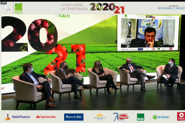 Rubros agrícolas detallan los primeros efectos del Covid-19 en sus ventas, pero dicen estar optimistas para 2021