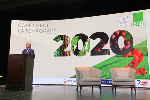 <p>Ministro Walker y situación en La Araucanía: " A pesar de la violencia se van a sembrar y plantar más hectáreas que nunca"</p>
