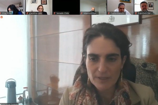 Pensiones: Ejecutivo se abre a discutir propuesta de la oposición, pero pide incluir como cotizantes a feriantes, taxistas y pescadores