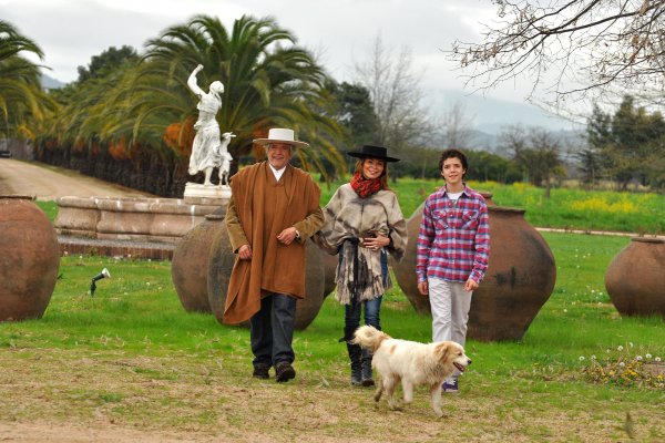 Carlos Cardoen: "No tengo ninguna imagen que lavar”