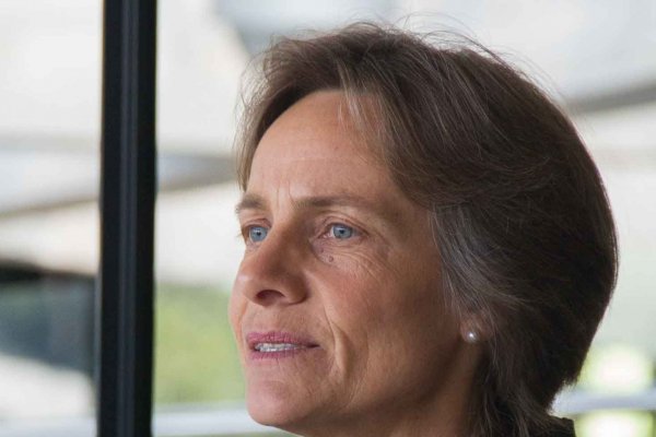 Nicola Schiess compra Abuela Goye