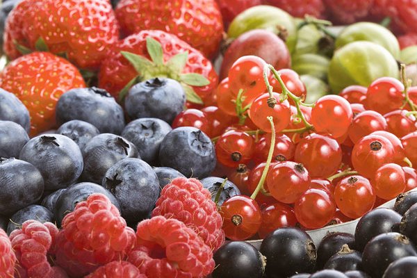 Hortifrut revirtió pérdidas de 2019 y duplicó Ebitda a junio