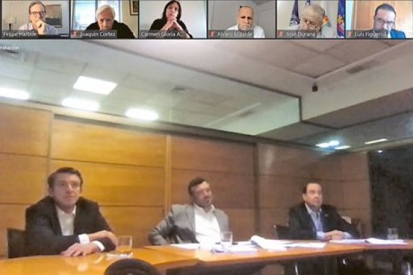 <p>El presidente del banco estatal, Sebastián Sichel, asistió ayer de forma remota a la comisión de Economía del Senado.</p>