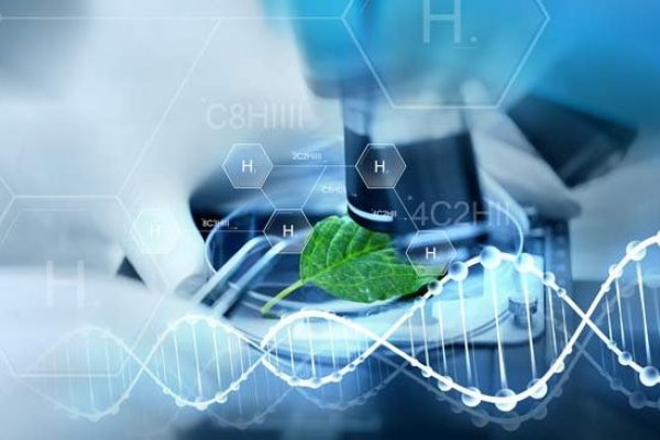 Chile realizará encuentro regional virtual de hidrógeno verde