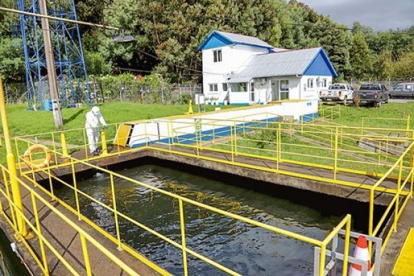 Once empresas de Osorno demandan por indemnización de perjuicios a Essal