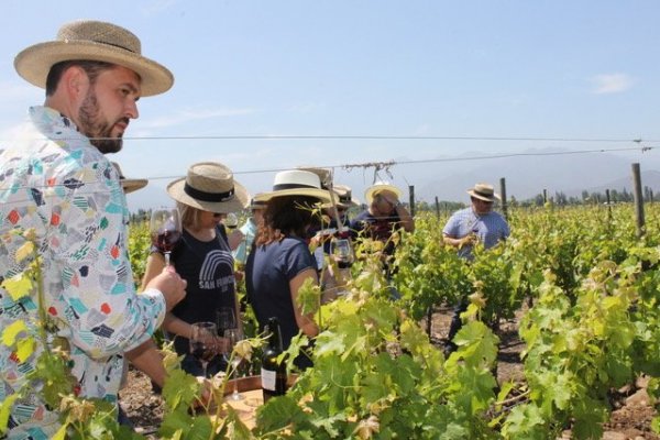 Las viñas se preparan para la reapertura