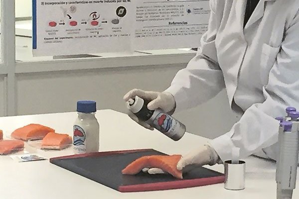 <p>La investigación de Fishextend, recubierto que alarga la vida del salmón fresco, es liderada por Loreto Valenzuela de la UC.</p>