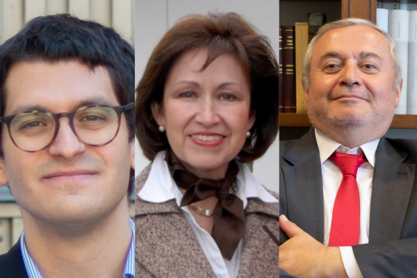 ¿Constitución minimalista o desarrollada? Constitucionalistas entran al debate