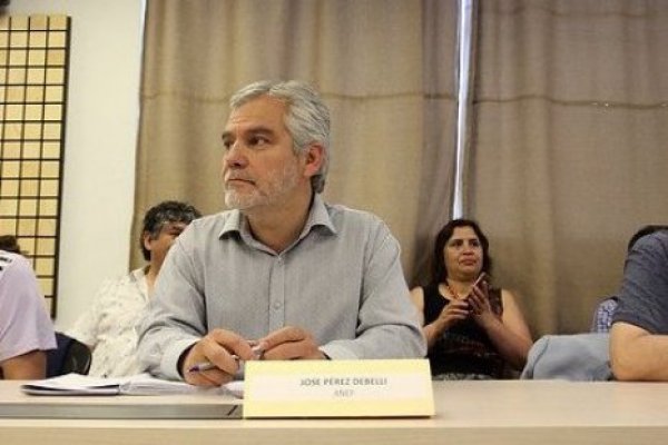 Anef y polémica por Bono Clase Media: "Acá existe una responsabilidad política del Gobierno"