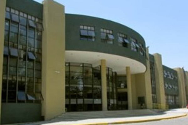 La demanda que preparan los trabajadores despedidos del Colegio Pedro de Valdivia de Peñalolén