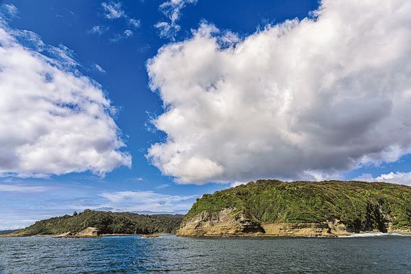 La trama familiar detrás de Isla Guafo