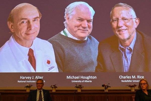 <p>Nobel de Medicina para los científicos que identificaron el virus de la Hepatitis C</p>