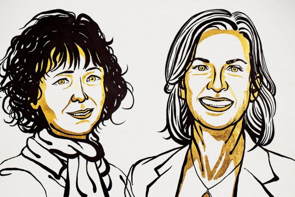 <p>Nobel de Química para las científicas que crearon las tijeras de edición genética</p>