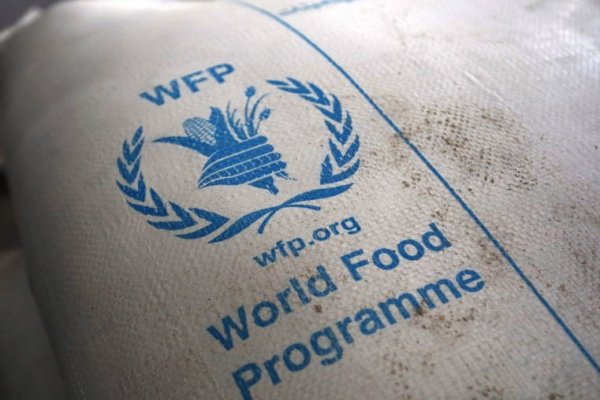 <p>El programa mundial de alimentos de la ONU recibe el Nobel de la Paz 2020</p>